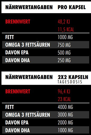 Big Zone Omega 3 Fury Triglyceride 300 Kapseln - Produktbild 2