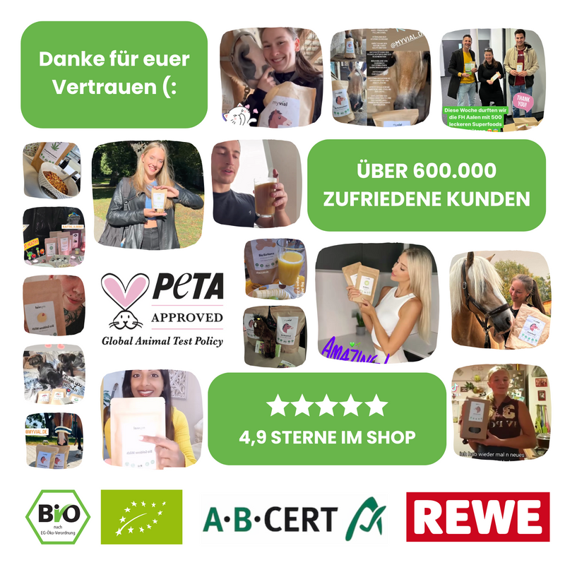 Vitamin D3 + K2 Tropfen vegan – Vitamin D aus Flechten & K2 MK-7 | Fightwood